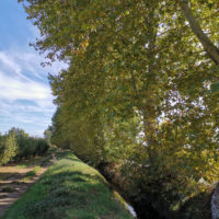 Montoliu de Lleida_Canal d'Urgell_1920px