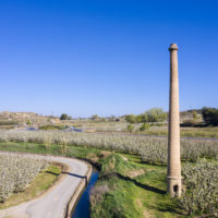 Montoliu de Lleida_Fumeres i floració_1920px