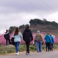 Torres de Segre - Ajuntament (6)