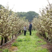 lleida-horta-floracio-granja_pifarre_2